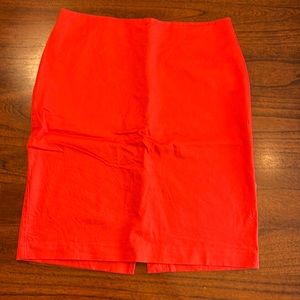 New York & Company Skirt